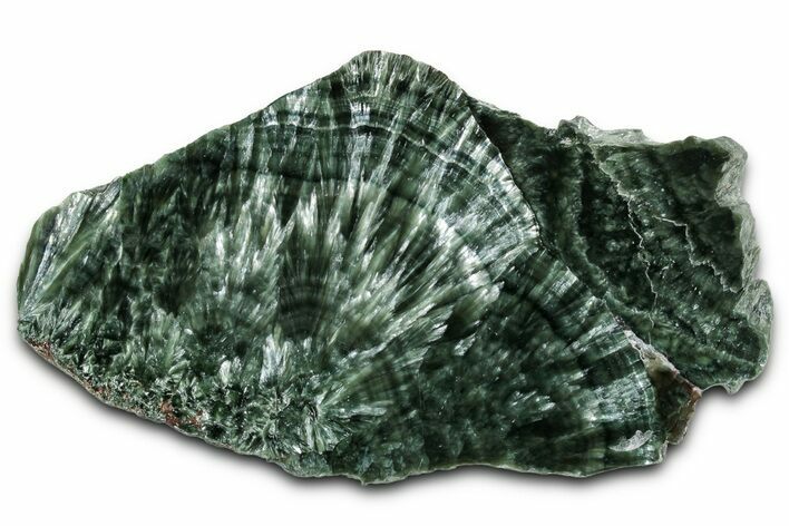Polished Seraphinite Slab - Korshunovkiy Mine, Siberia #354248